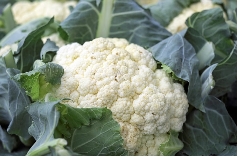 Cauliflower Steak